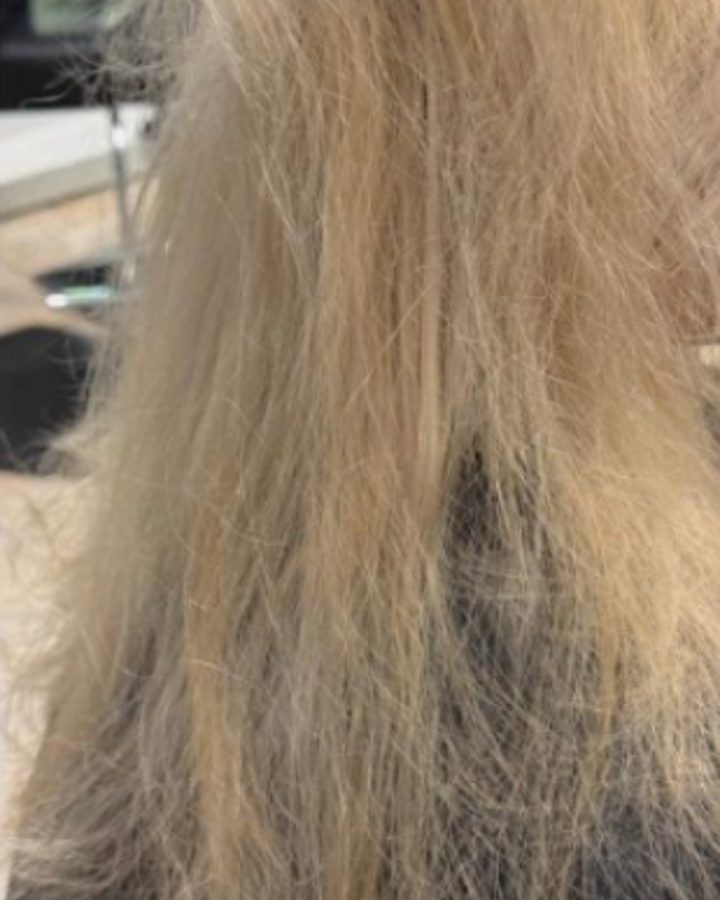 Before: yellow, straw-toned blonde